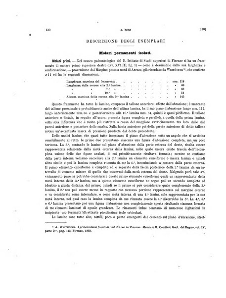 Palaeontographia Italica raccolta di monografie paleontologiche fondata da Mario Canavari nell'anno 1895