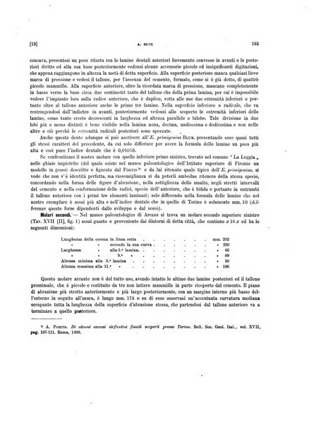 Palaeontographia Italica raccolta di monografie paleontologiche fondata da Mario Canavari nell'anno 1895