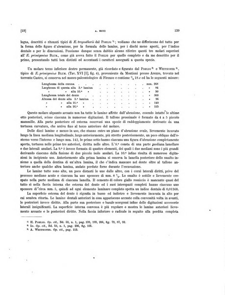 Palaeontographia Italica raccolta di monografie paleontologiche fondata da Mario Canavari nell'anno 1895