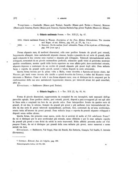 Palaeontographia Italica raccolta di monografie paleontologiche fondata da Mario Canavari nell'anno 1895