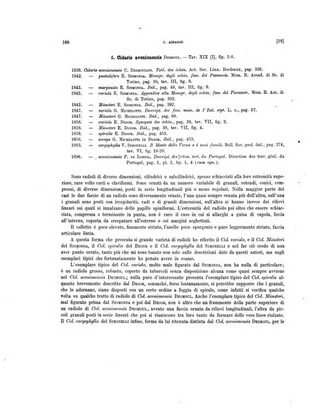 Palaeontographia Italica raccolta di monografie paleontologiche fondata da Mario Canavari nell'anno 1895