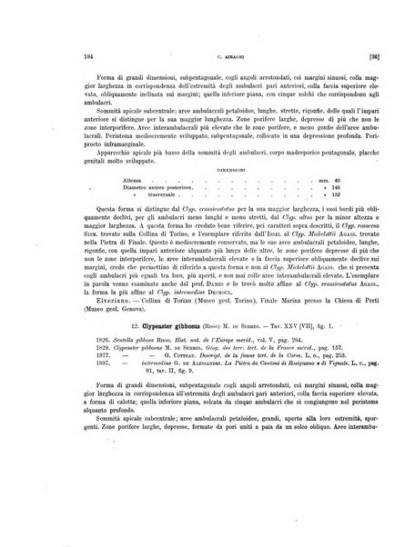 Palaeontographia Italica raccolta di monografie paleontologiche fondata da Mario Canavari nell'anno 1895