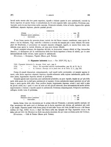 Palaeontographia Italica raccolta di monografie paleontologiche fondata da Mario Canavari nell'anno 1895