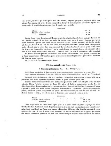 Palaeontographia Italica raccolta di monografie paleontologiche fondata da Mario Canavari nell'anno 1895