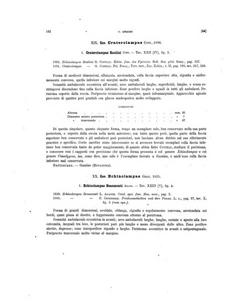 Palaeontographia Italica raccolta di monografie paleontologiche fondata da Mario Canavari nell'anno 1895