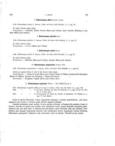 Palaeontographia Italica raccolta di monografie paleontologiche fondata da Mario Canavari nell'anno 1895