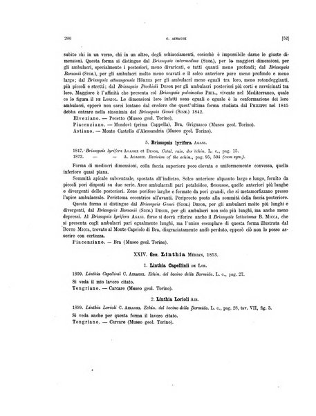 Palaeontographia Italica raccolta di monografie paleontologiche fondata da Mario Canavari nell'anno 1895