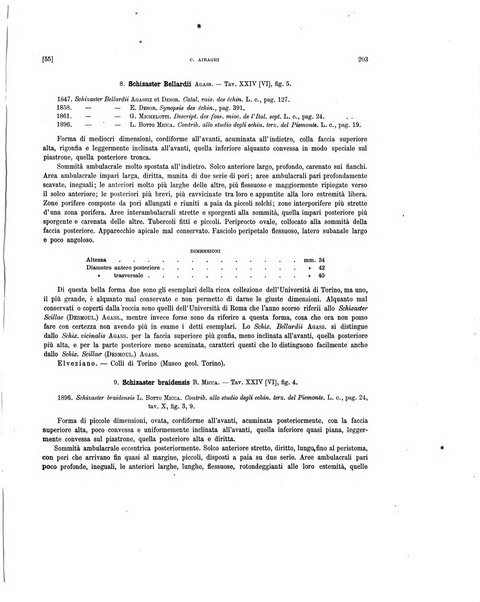 Palaeontographia Italica raccolta di monografie paleontologiche fondata da Mario Canavari nell'anno 1895