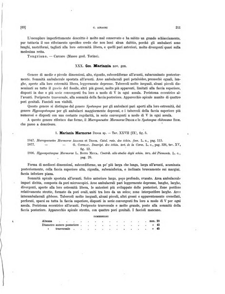 Palaeontographia Italica raccolta di monografie paleontologiche fondata da Mario Canavari nell'anno 1895