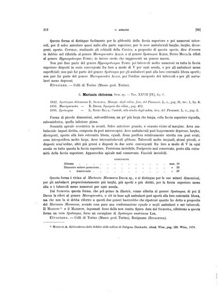 Palaeontographia Italica raccolta di monografie paleontologiche fondata da Mario Canavari nell'anno 1895