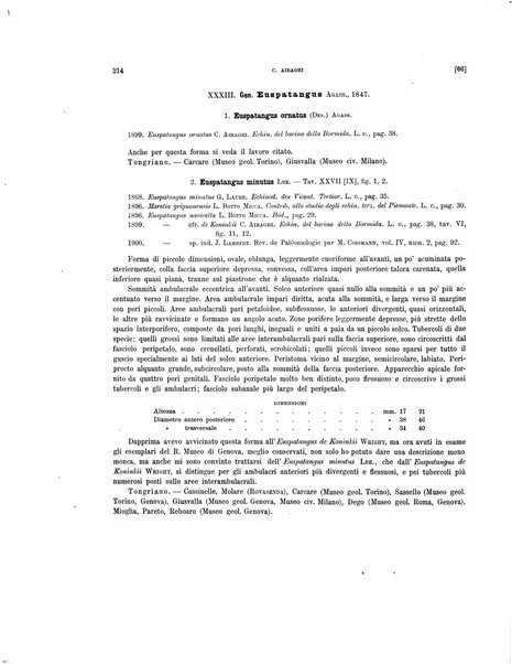 Palaeontographia Italica raccolta di monografie paleontologiche fondata da Mario Canavari nell'anno 1895