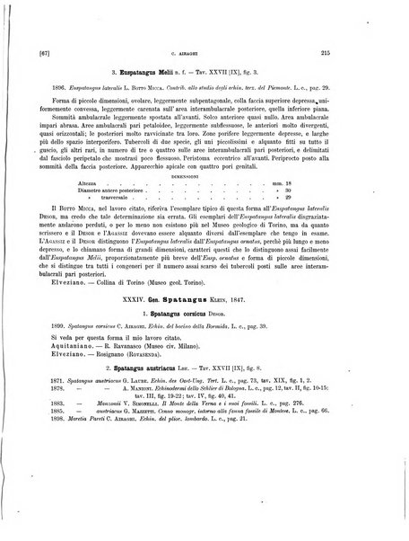 Palaeontographia Italica raccolta di monografie paleontologiche fondata da Mario Canavari nell'anno 1895