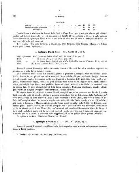 Palaeontographia Italica raccolta di monografie paleontologiche fondata da Mario Canavari nell'anno 1895