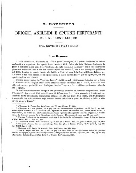 Palaeontographia Italica raccolta di monografie paleontologiche fondata da Mario Canavari nell'anno 1895