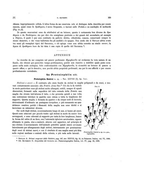 Palaeontographia Italica raccolta di monografie paleontologiche fondata da Mario Canavari nell'anno 1895