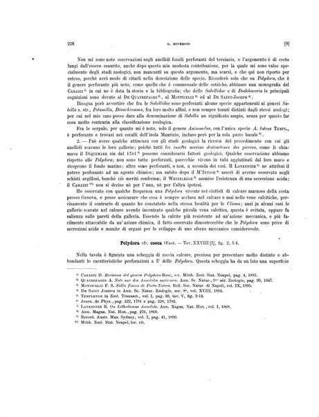 Palaeontographia Italica raccolta di monografie paleontologiche fondata da Mario Canavari nell'anno 1895