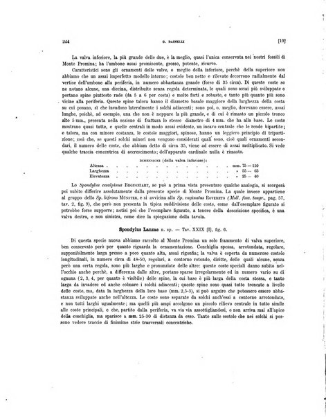 Palaeontographia Italica raccolta di monografie paleontologiche fondata da Mario Canavari nell'anno 1895