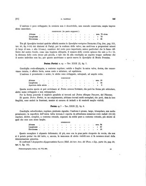 Palaeontographia Italica raccolta di monografie paleontologiche fondata da Mario Canavari nell'anno 1895