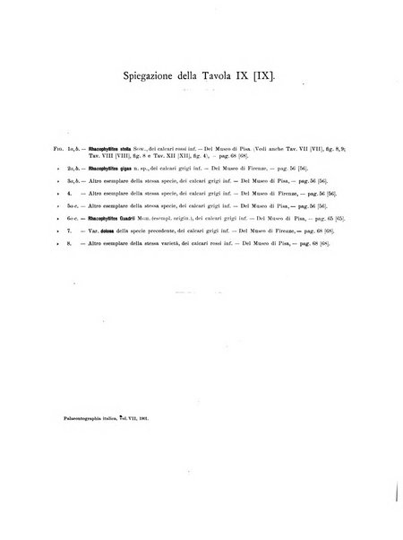 Palaeontographia Italica raccolta di monografie paleontologiche fondata da Mario Canavari nell'anno 1895