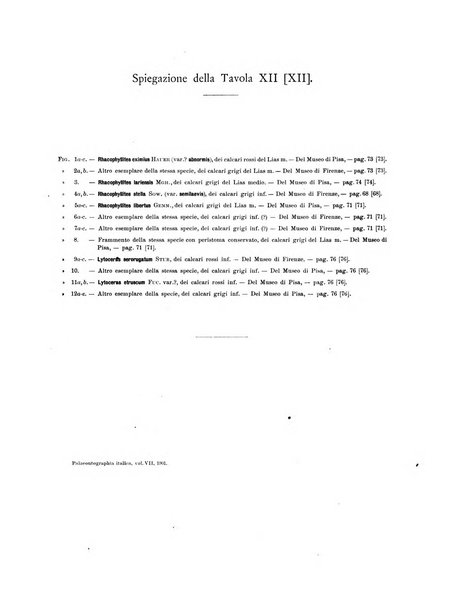 Palaeontographia Italica raccolta di monografie paleontologiche fondata da Mario Canavari nell'anno 1895