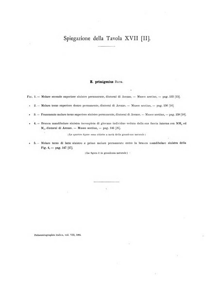 Palaeontographia Italica raccolta di monografie paleontologiche fondata da Mario Canavari nell'anno 1895