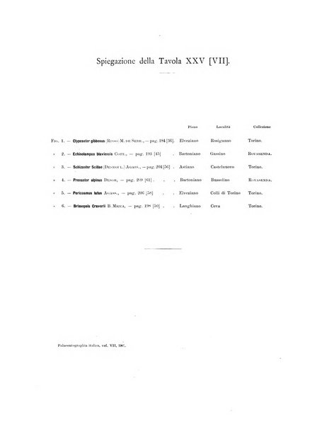 Palaeontographia Italica raccolta di monografie paleontologiche fondata da Mario Canavari nell'anno 1895