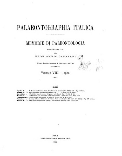 Palaeontographia Italica raccolta di monografie paleontologiche fondata da Mario Canavari nell'anno 1895