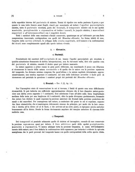 Palaeontographia Italica raccolta di monografie paleontologiche fondata da Mario Canavari nell'anno 1895