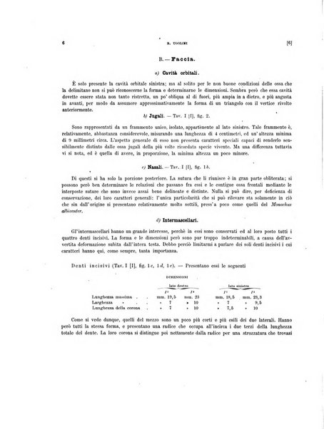 Palaeontographia Italica raccolta di monografie paleontologiche fondata da Mario Canavari nell'anno 1895