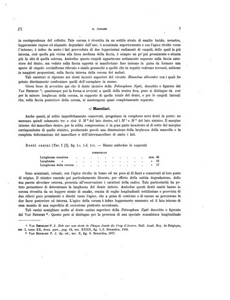 Palaeontographia Italica raccolta di monografie paleontologiche fondata da Mario Canavari nell'anno 1895