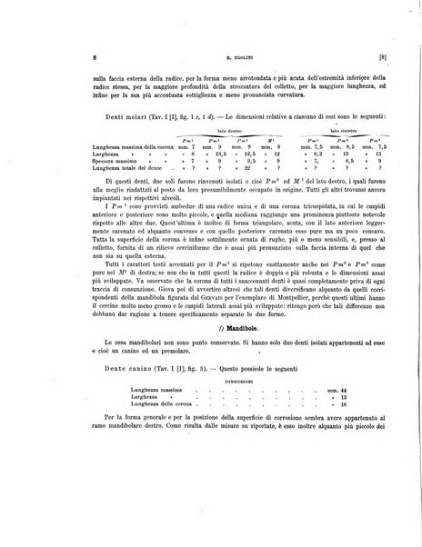 Palaeontographia Italica raccolta di monografie paleontologiche fondata da Mario Canavari nell'anno 1895