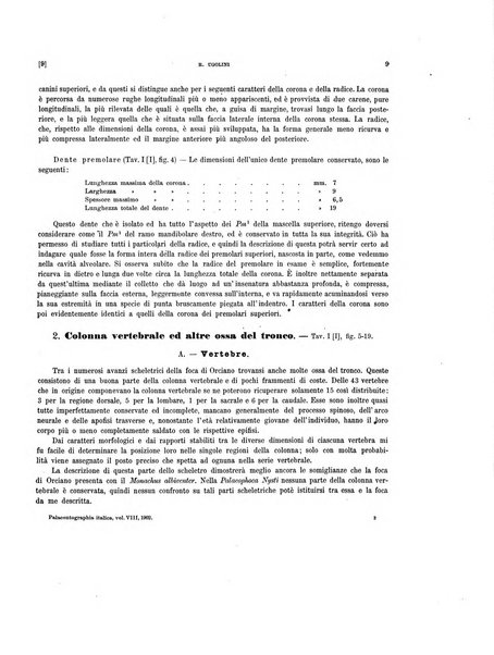 Palaeontographia Italica raccolta di monografie paleontologiche fondata da Mario Canavari nell'anno 1895