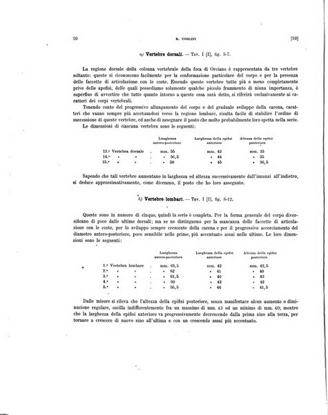 Palaeontographia Italica raccolta di monografie paleontologiche fondata da Mario Canavari nell'anno 1895