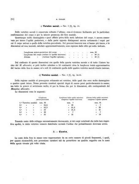 Palaeontographia Italica raccolta di monografie paleontologiche fondata da Mario Canavari nell'anno 1895