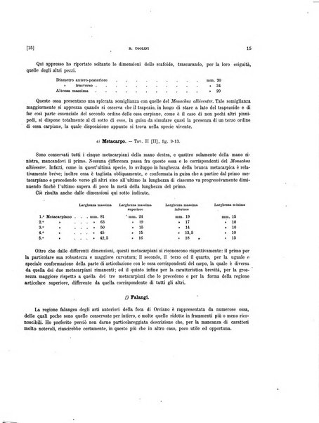 Palaeontographia Italica raccolta di monografie paleontologiche fondata da Mario Canavari nell'anno 1895