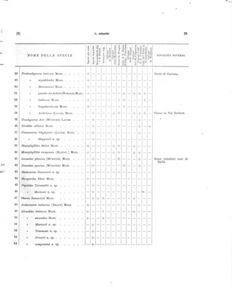 Palaeontographia Italica raccolta di monografie paleontologiche fondata da Mario Canavari nell'anno 1895