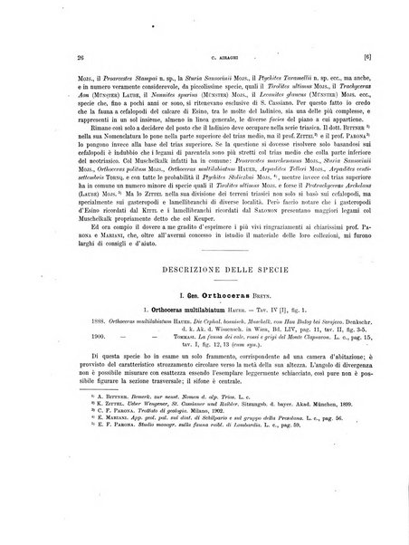 Palaeontographia Italica raccolta di monografie paleontologiche fondata da Mario Canavari nell'anno 1895