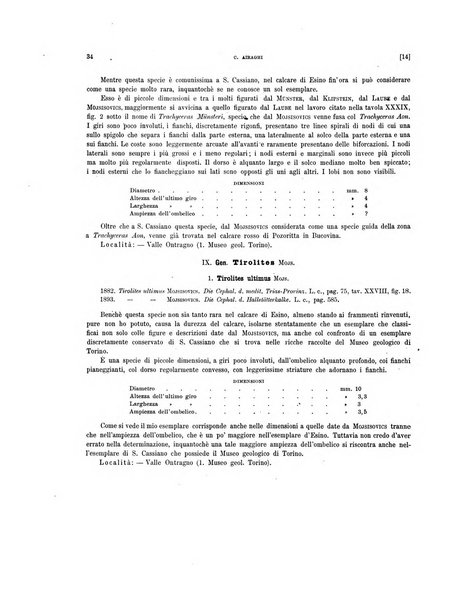 Palaeontographia Italica raccolta di monografie paleontologiche fondata da Mario Canavari nell'anno 1895