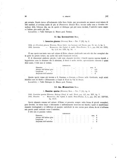 Palaeontographia Italica raccolta di monografie paleontologiche fondata da Mario Canavari nell'anno 1895