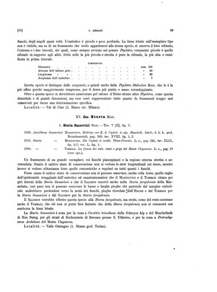 Palaeontographia Italica raccolta di monografie paleontologiche fondata da Mario Canavari nell'anno 1895