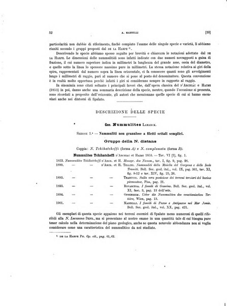 Palaeontographia Italica raccolta di monografie paleontologiche fondata da Mario Canavari nell'anno 1895