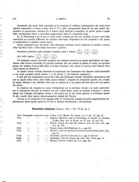 Palaeontographia Italica raccolta di monografie paleontologiche fondata da Mario Canavari nell'anno 1895