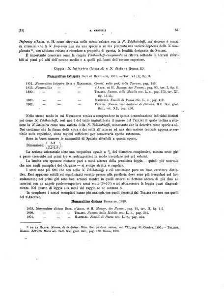 Palaeontographia Italica raccolta di monografie paleontologiche fondata da Mario Canavari nell'anno 1895