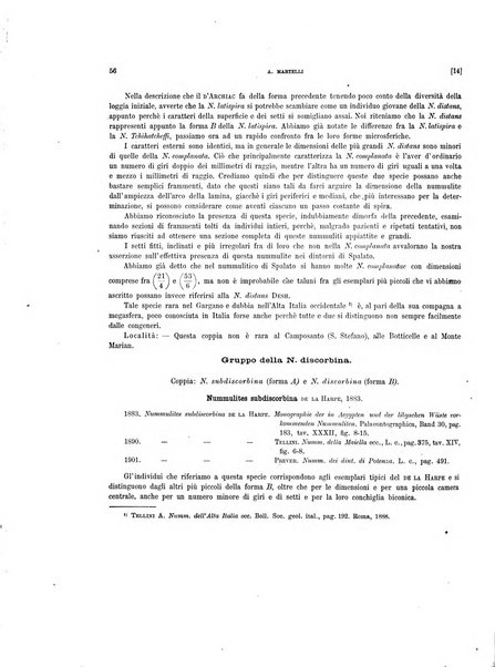 Palaeontographia Italica raccolta di monografie paleontologiche fondata da Mario Canavari nell'anno 1895