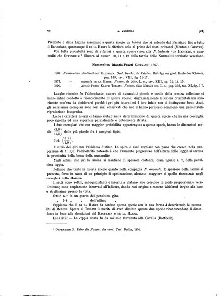 Palaeontographia Italica raccolta di monografie paleontologiche fondata da Mario Canavari nell'anno 1895