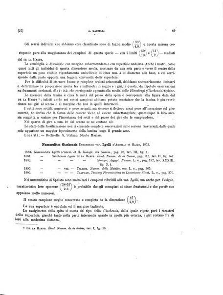 Palaeontographia Italica raccolta di monografie paleontologiche fondata da Mario Canavari nell'anno 1895