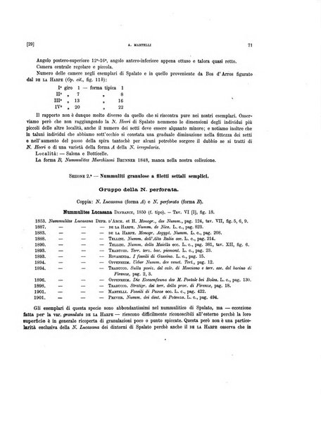 Palaeontographia Italica raccolta di monografie paleontologiche fondata da Mario Canavari nell'anno 1895