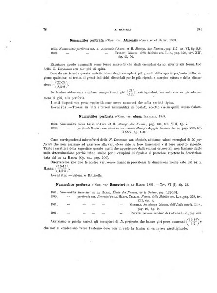 Palaeontographia Italica raccolta di monografie paleontologiche fondata da Mario Canavari nell'anno 1895