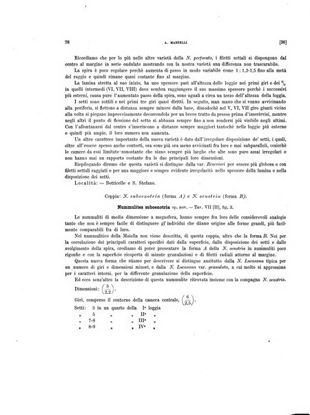 Palaeontographia Italica raccolta di monografie paleontologiche fondata da Mario Canavari nell'anno 1895