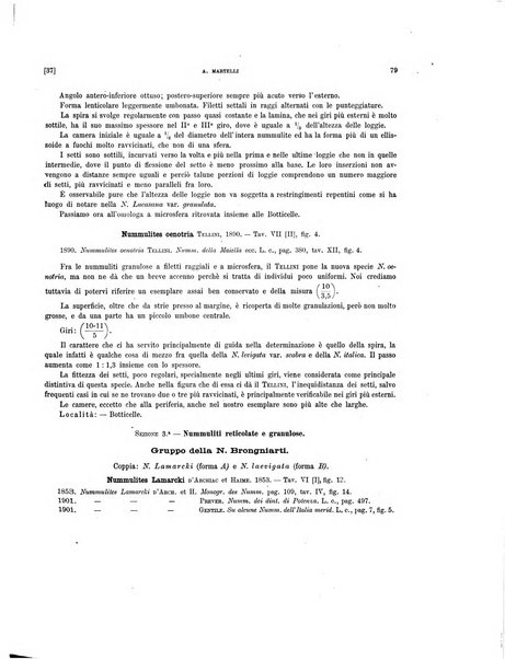 Palaeontographia Italica raccolta di monografie paleontologiche fondata da Mario Canavari nell'anno 1895